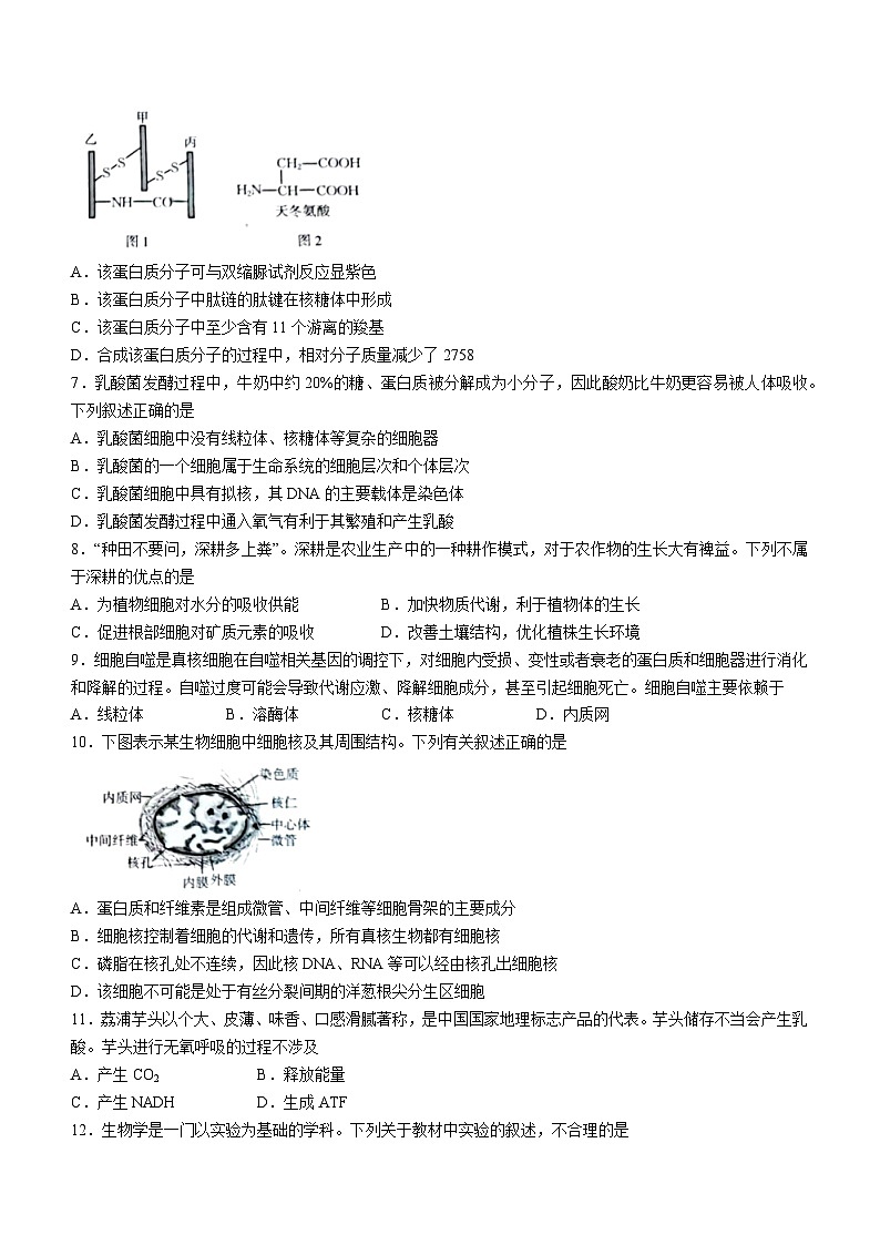 新疆兵团地州学校2023-2024学年高三上学期期中联考生物试题第2页