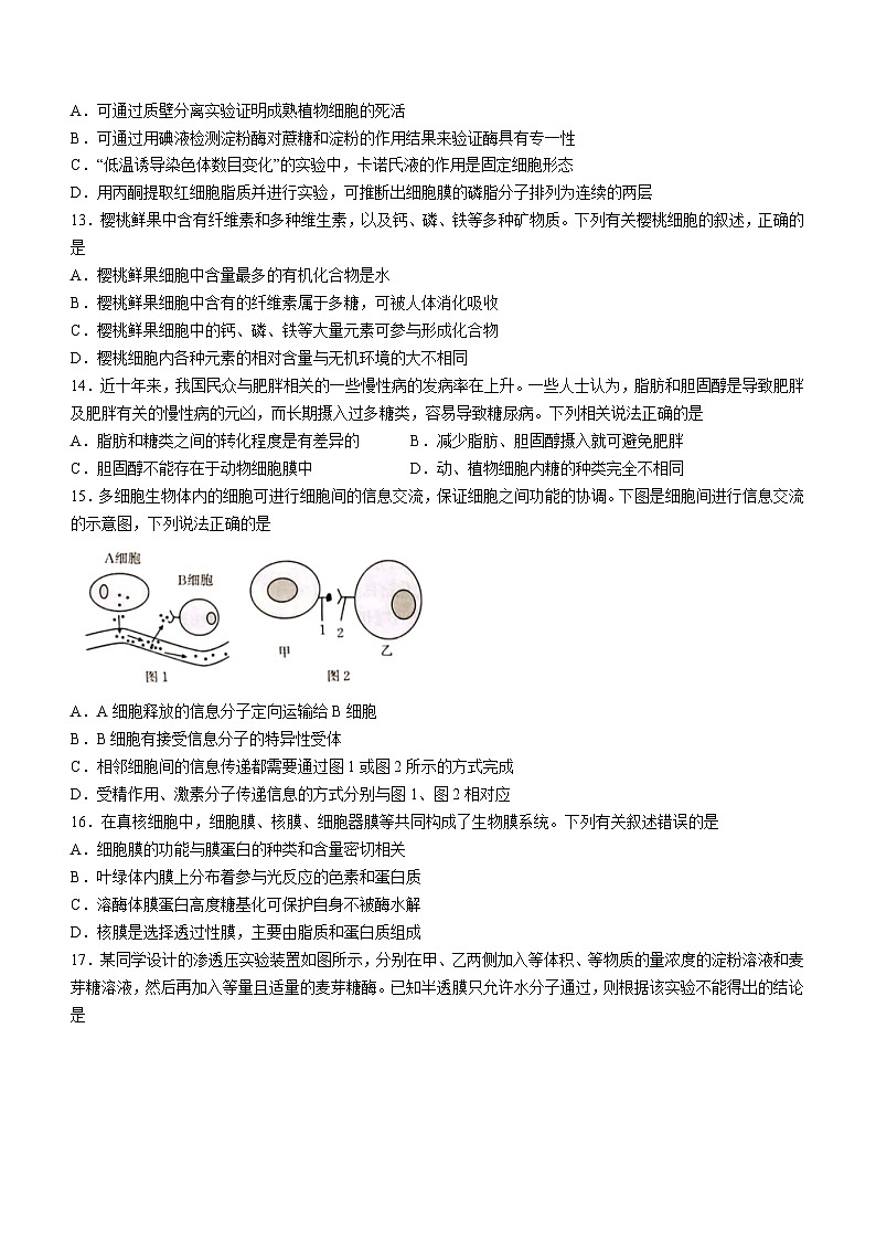 新疆兵团地州学校2023-2024学年高三上学期期中联考生物试题第3页