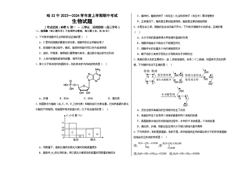 黑龙江省哈尔滨市第三十二中学校2023-2024学年高三上学期11月期中生物试题01