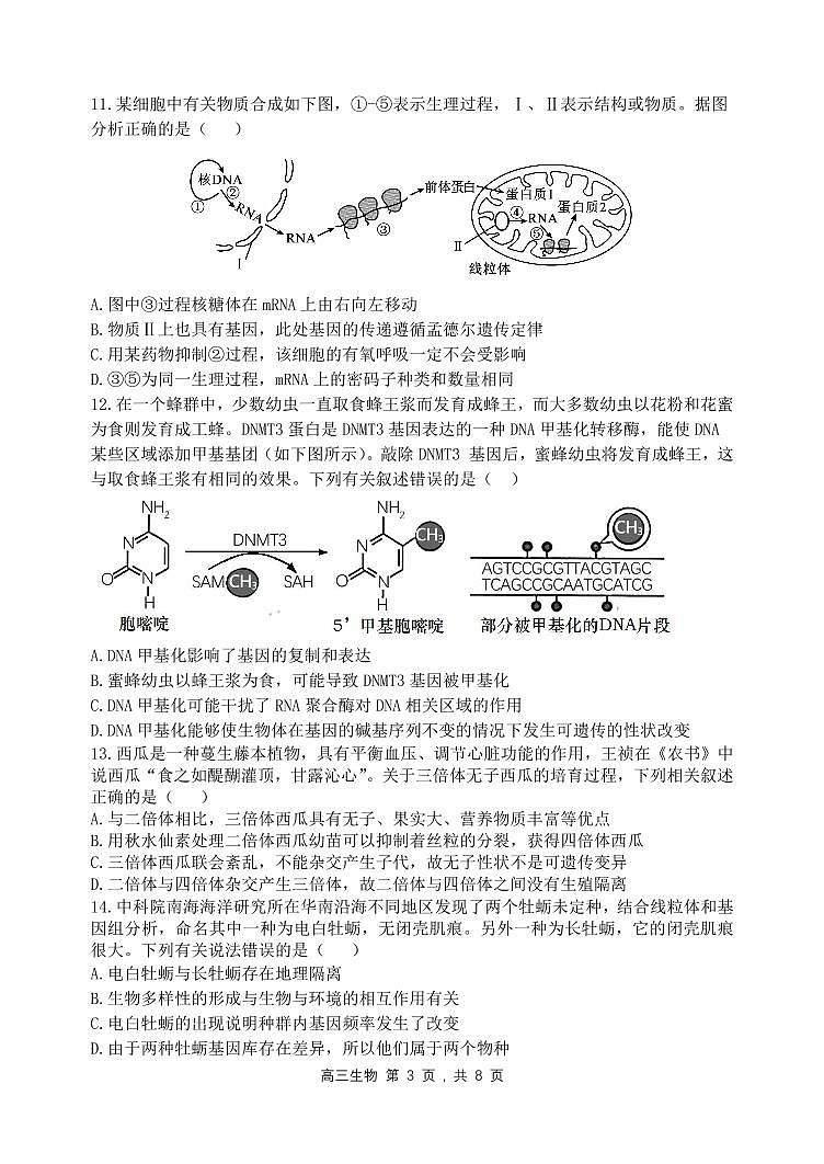 2023-2024学年哈三中高三（上）期中考试生物试卷含答案解析第3页
