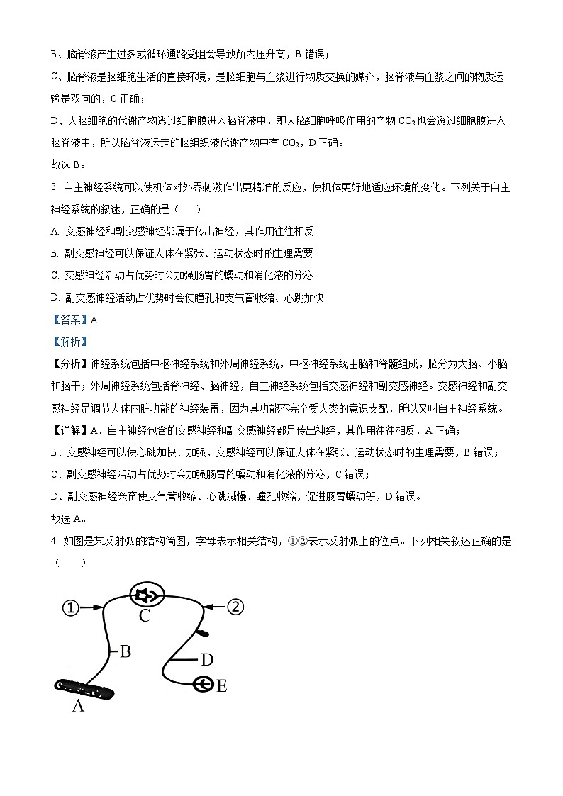 四川省苍溪中学2023-2024学年高二生物上学期10月月考试题（Word版附解析）第2页