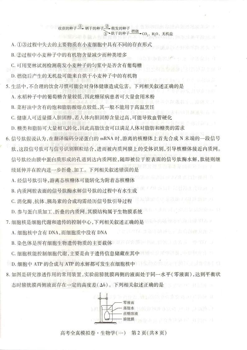 2023-2024学年海南省高考模拟卷（一）生物试题（含答案）第2页