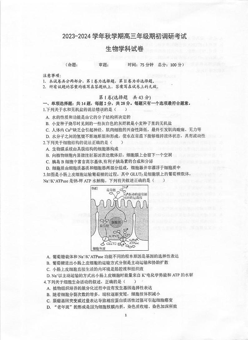 2023-2024学年江苏泰州中学高三期初调研考试 生物试题（含答案）01