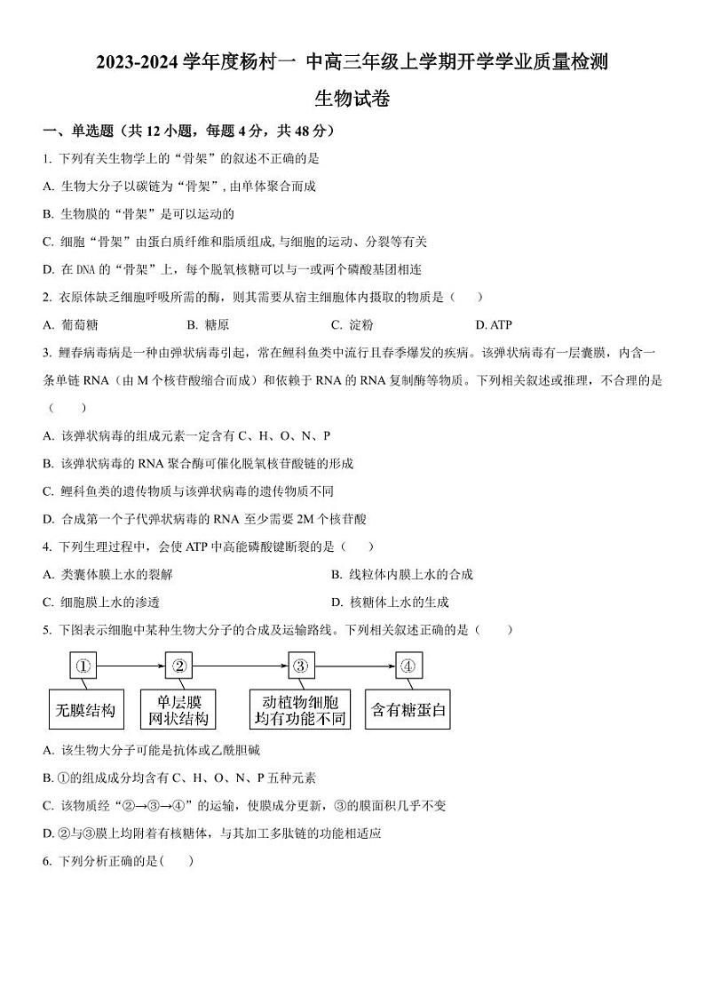 2023-2024学年天津杨村第一中学高三开学检测 生物试题（含答案）01