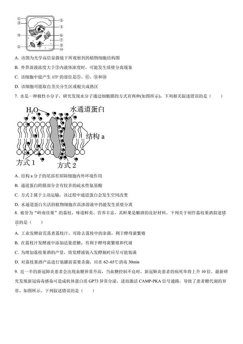 2023-2024学年天津杨村第一中学高三开学检测 生物试题（含答案）02