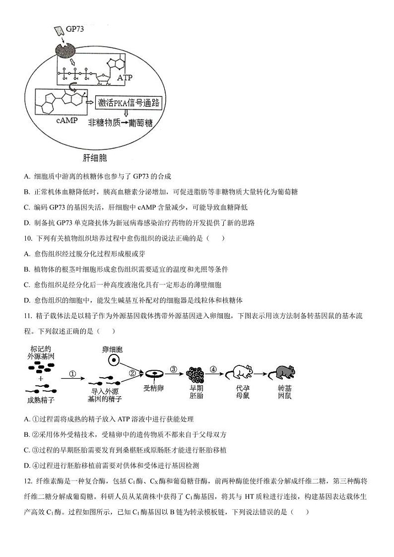 2023-2024学年天津杨村第一中学高三开学检测 生物试题（含答案）03