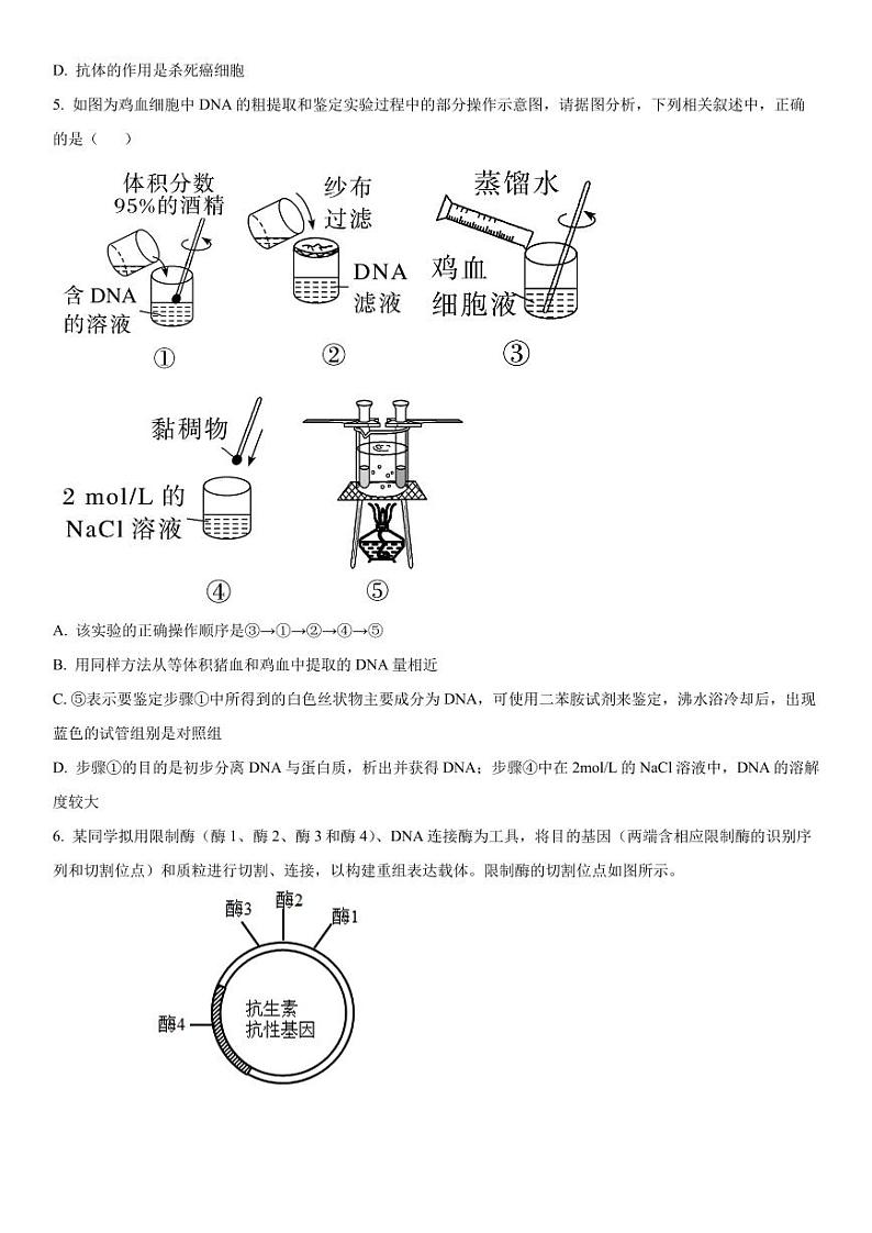 重庆市2023-2024学年高三开学考试 生物试题（含答案）第2页