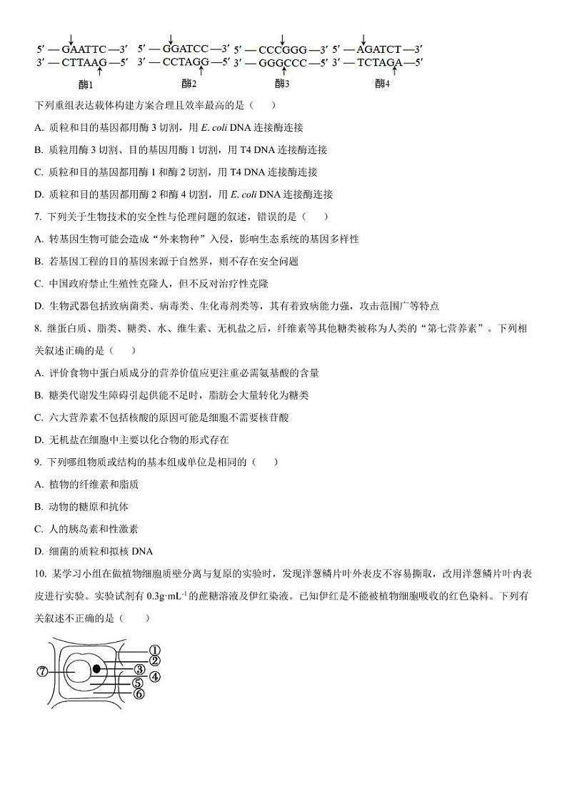 重庆市2023-2024学年高三开学考试 生物试题（含答案）第3页