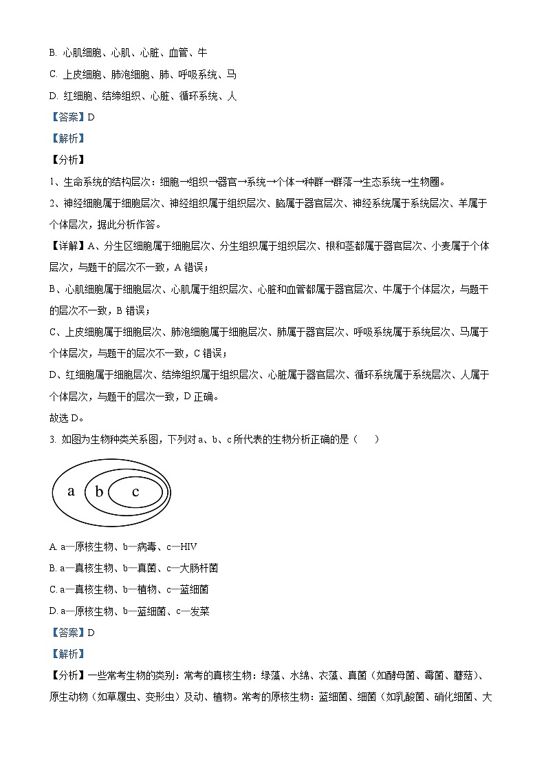 辽宁省东北育才学校科学高中部2023-2024学年高一生物上学期第一次月考试题（Word版附解析）第2页