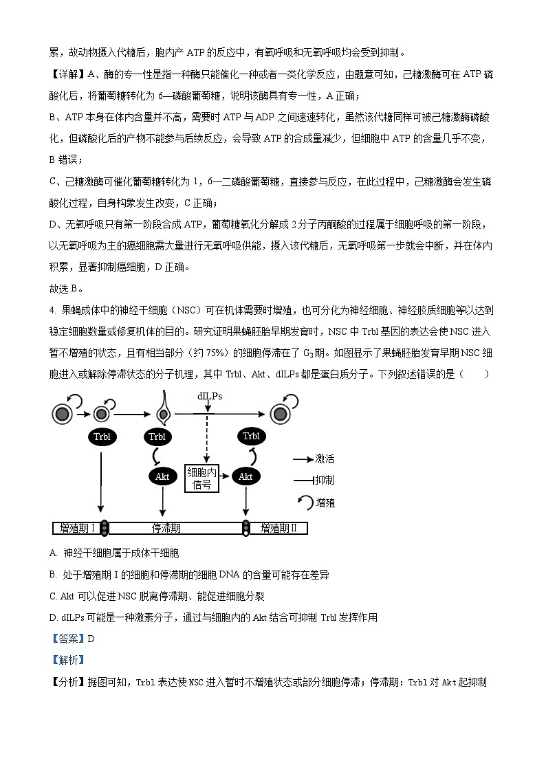 重庆市八中2023-2024学年高三生物上学期10月适应性月考（二）试题（Word版附解析）第3页