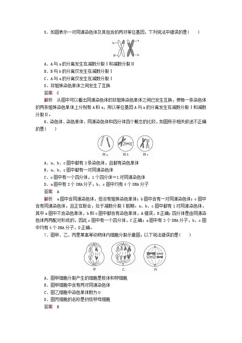 新教材2023版高中生物第2章基因和染色体的关系章末检测新人教版必修2第2页