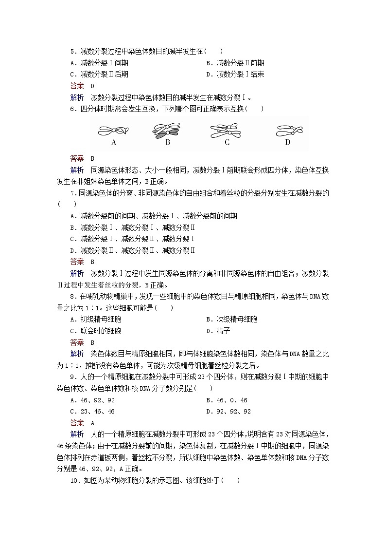 新教材2023版高中生物第2章基因和染色体的关系第1节减数分裂和受精作用第1课时精子的形成过程同步检测新人教版必修202