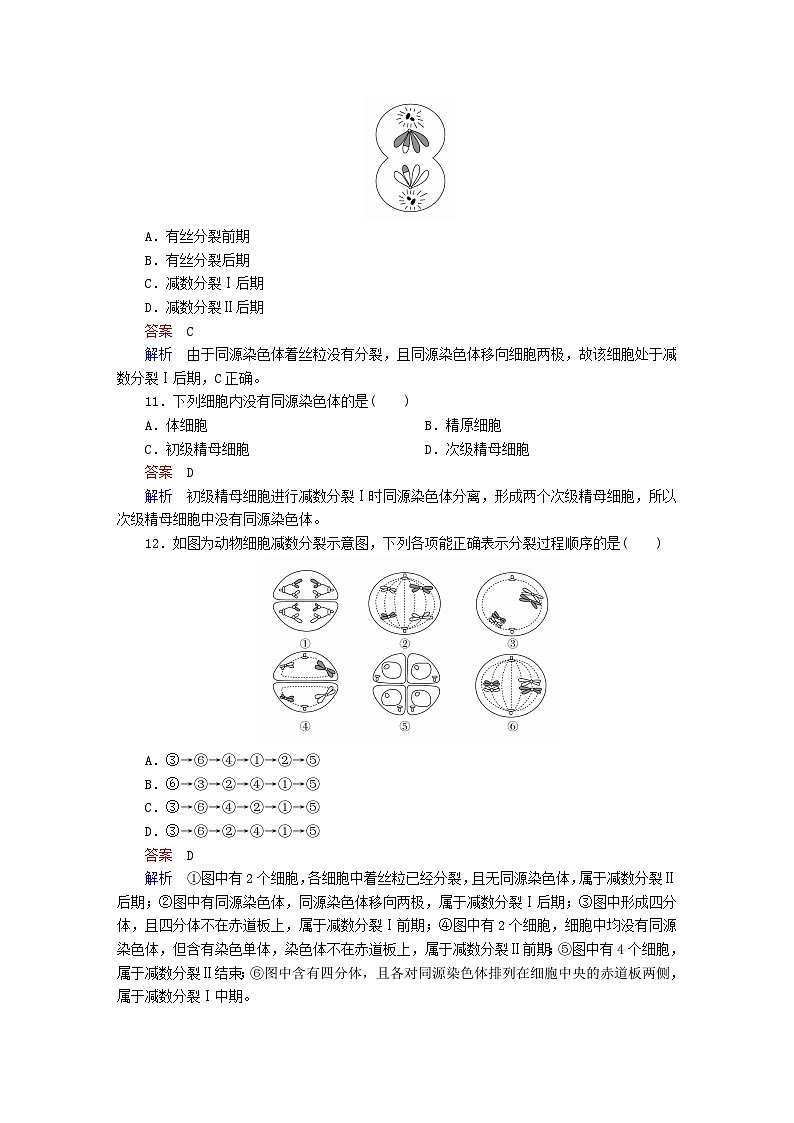 新教材2023版高中生物第2章基因和染色体的关系第1节减数分裂和受精作用第1课时精子的形成过程同步检测新人教版必修203
