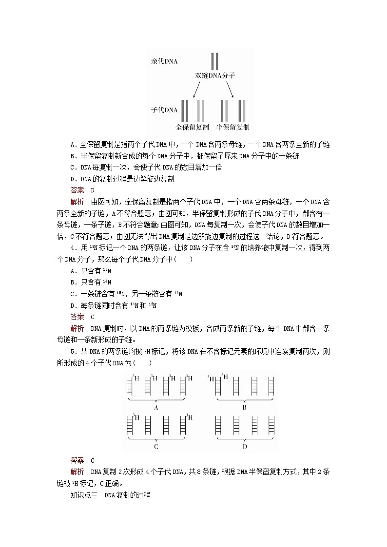 新教材2023版高中生物第3章基因的本质第3节DNA的复制同步检测新人教版必修202