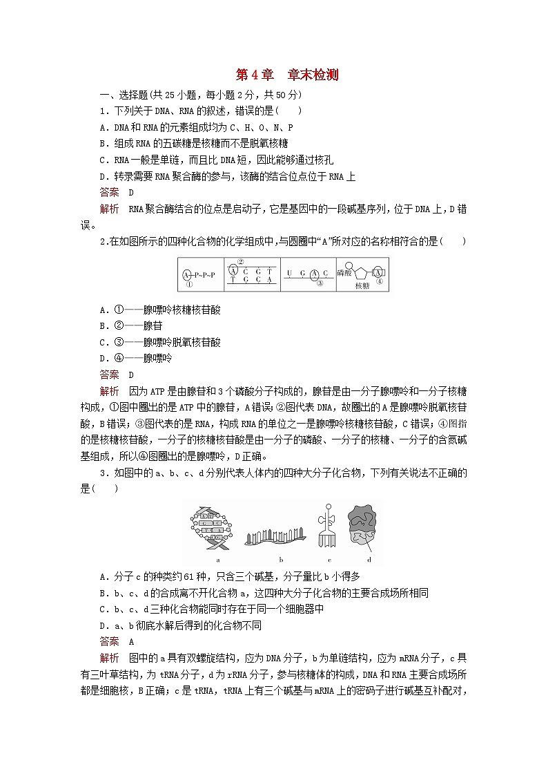 新教材2023版高中生物第4章基因的表达章末检测新人教版必修201