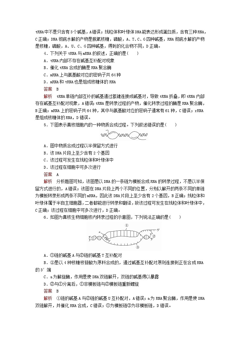 新教材2023版高中生物第4章基因的表达章末检测新人教版必修202