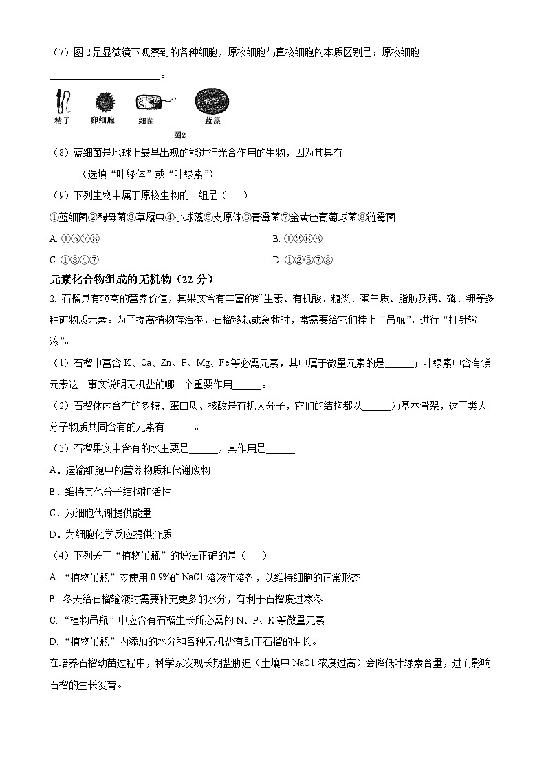 上海市上海交通大学附属中学2023-2024学年高一生物上学期10月考试试题（Word版附解析）02