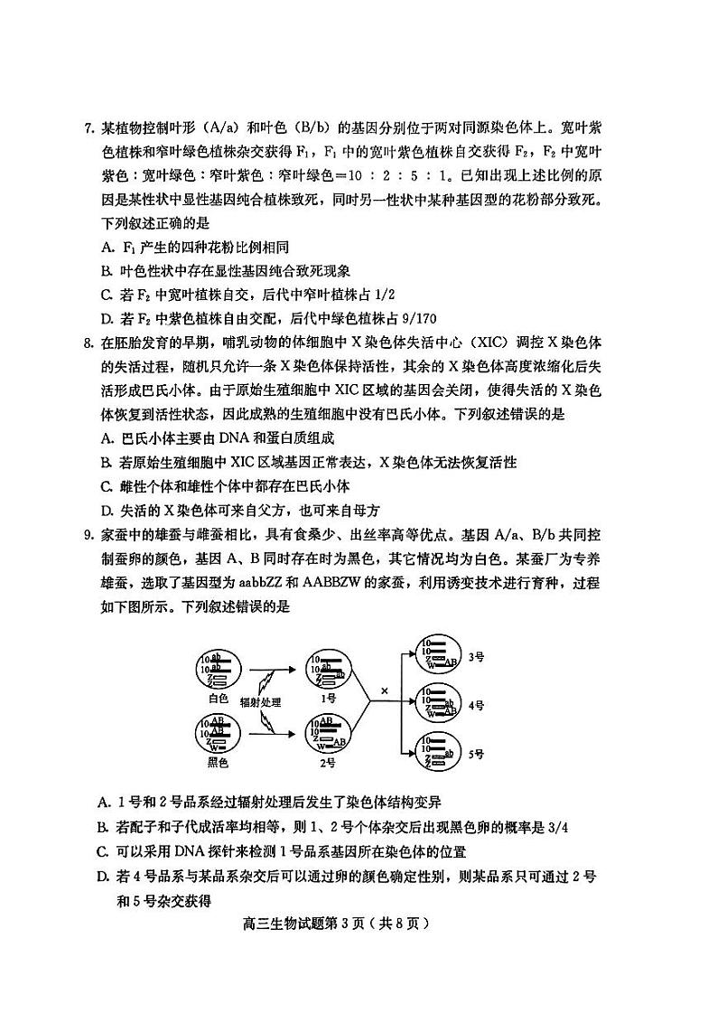 生物第3页