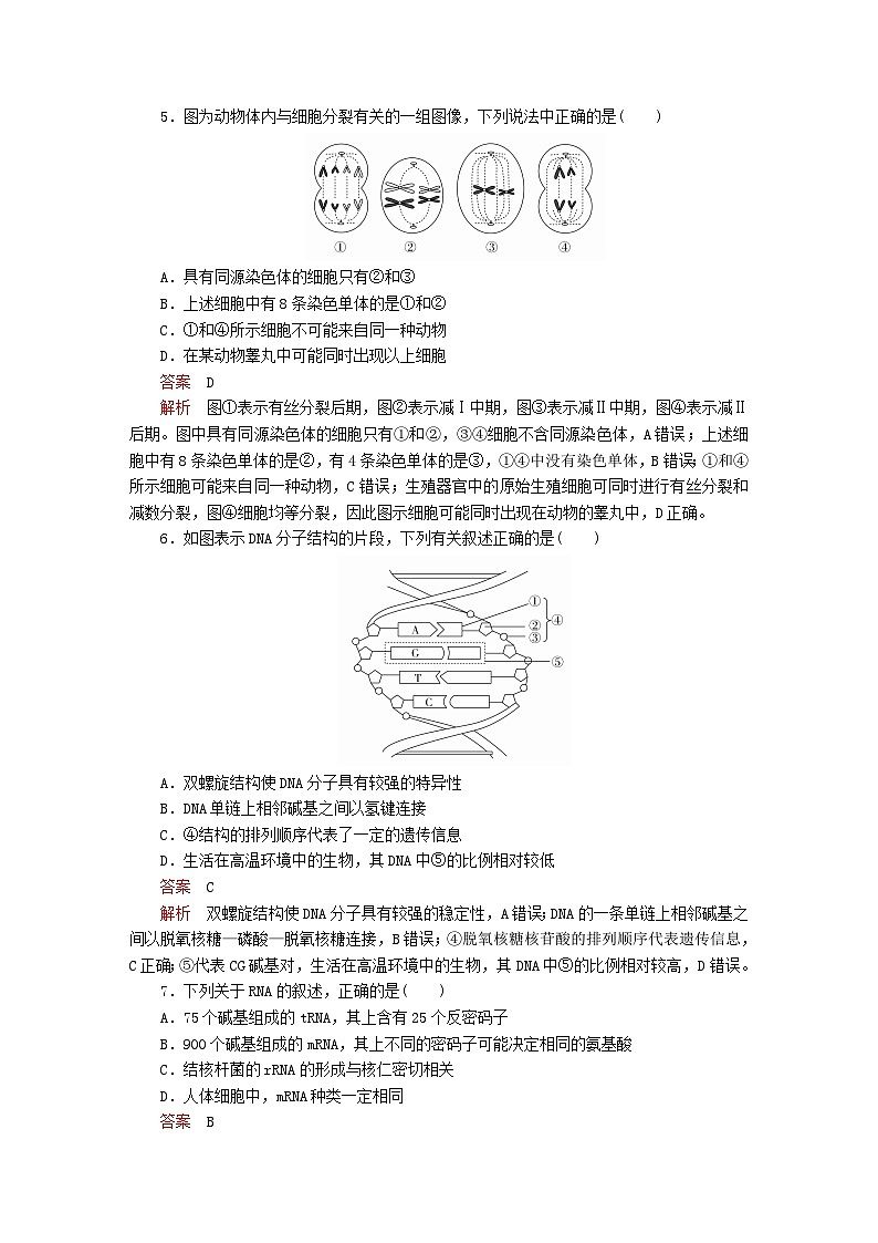 新教材2023版高中生物综合测试卷新人教版必修2第2页