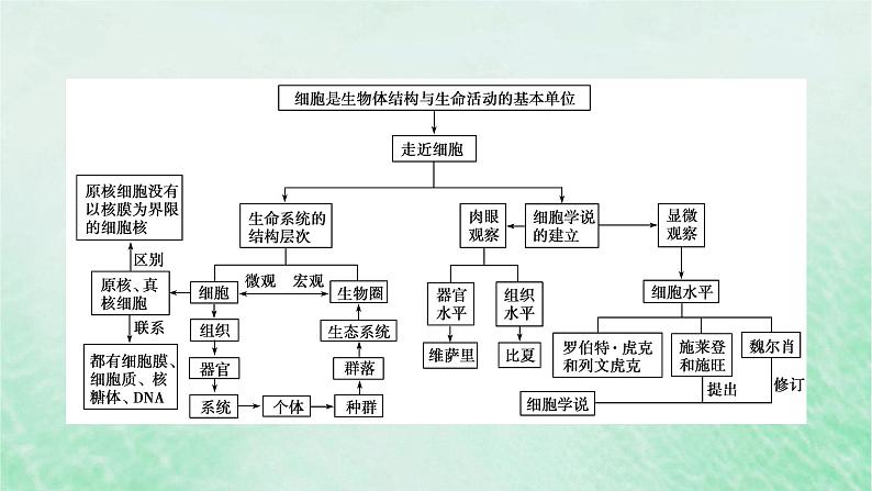 新教材适用2023_2024学年高中生物第1章走近细胞本章整合课件新人教版必修104