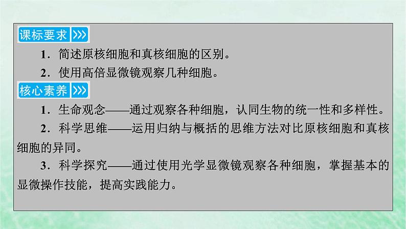 新教材适用2023_2024学年高中生物第1章走近细胞第2节细胞的多样性和统一性课件新人教版必修103