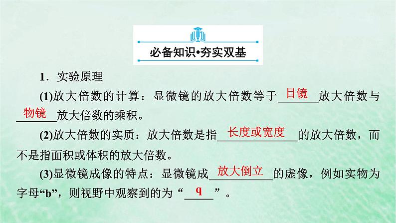 新教材适用2023_2024学年高中生物第1章走近细胞第2节细胞的多样性和统一性课件新人教版必修106