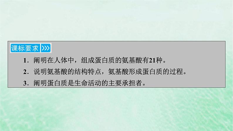 新教材适用2023_2024学年高中生物第2章组成细胞的分子第4节蛋白质是生命活动的主要承担者课件新人教版必修1第3页