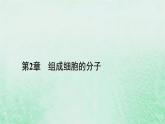 新教材适用2023_2024学年高中生物第2章组成细胞的分子第5节核酸是遗传信息的携带者课件新人教版必修1