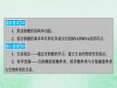 新教材适用2023_2024学年高中生物第2章组成细胞的分子第5节核酸是遗传信息的携带者课件新人教版必修1
