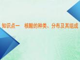 新教材适用2023_2024学年高中生物第2章组成细胞的分子第5节核酸是遗传信息的携带者课件新人教版必修1