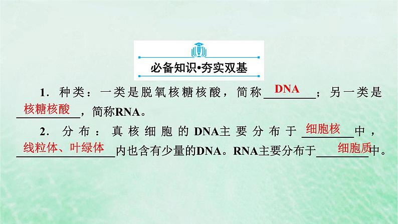 新教材适用2023_2024学年高中生物第2章组成细胞的分子第5节核酸是遗传信息的携带者课件新人教版必修1第6页