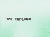 新教材适用2023_2024学年高中生物第3章细胞的基本结构第2节细胞器之间的分工合作第1课时细胞器之间的分工课件新人教版必修1