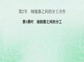 新教材适用2023_2024学年高中生物第3章细胞的基本结构第2节细胞器之间的分工合作第1课时细胞器之间的分工课件新人教版必修1