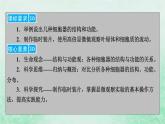 新教材适用2023_2024学年高中生物第3章细胞的基本结构第2节细胞器之间的分工合作第1课时细胞器之间的分工课件新人教版必修1