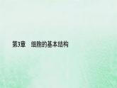 新教材适用2023_2024学年高中生物第3章细胞的基本结构第2节细胞器之间的分工合作第2课时细胞器之间的协调配合和细胞的生物膜系统课件新人教版必修1