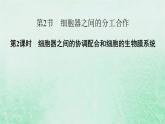 新教材适用2023_2024学年高中生物第3章细胞的基本结构第2节细胞器之间的分工合作第2课时细胞器之间的协调配合和细胞的生物膜系统课件新人教版必修1