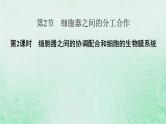 新教材适用2023_2024学年高中生物第3章细胞的基本结构第2节细胞器之间的分工合作第2课时细胞器之间的协调配合和细胞的生物膜系统课件新人教版必修1