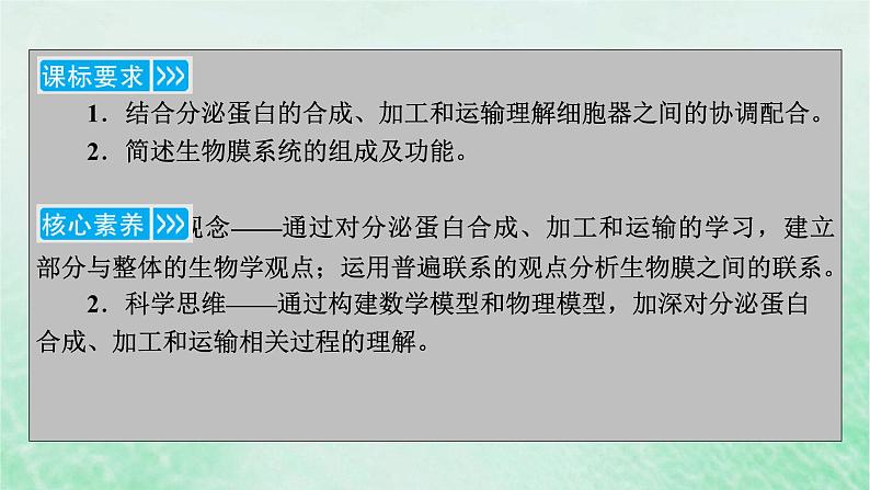 新教材适用2023_2024学年高中生物第3章细胞的基本结构第2节细胞器之间的分工合作第2课时细胞器之间的协调配合和细胞的生物膜系统课件新人教版必修103