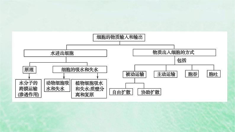 新教材适用2023_2024学年高中生物第4章细胞的物质输入和输出本章整合课件新人教版必修1第4页