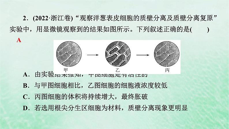 新教材适用2023_2024学年高中生物第4章细胞的物质输入和输出本章整合课件新人教版必修1第8页