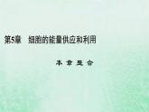 新教材适用2023_2024学年高中生物第5章细胞的能量供应和利用本章整合课件新人教版必修1
