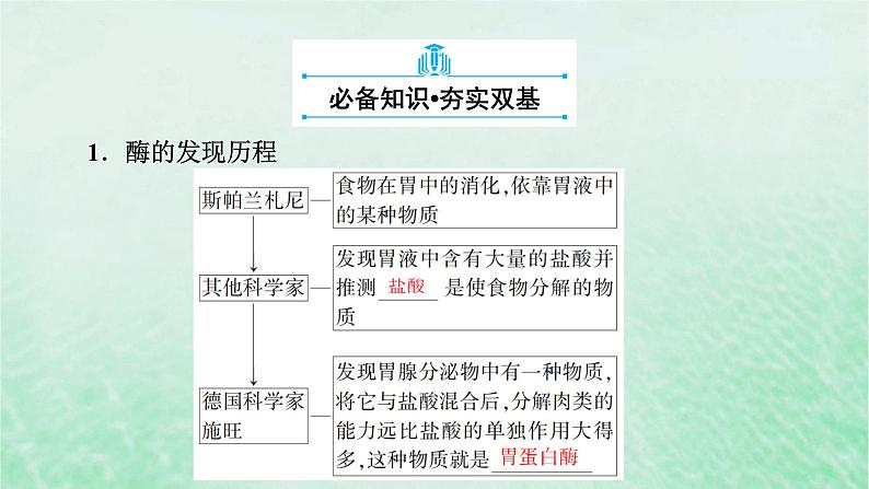 新教材适用2023_2024学年高中生物第5章细胞的能量供应和利用第1节降低化学反应活化能的酶第1课时酶的作用和本质课件新人教版必修106