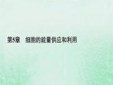 新教材适用2023_2024学年高中生物第5章细胞的能量供应和利用第2节细胞的能量“货币”ATP课件新人教版必修1