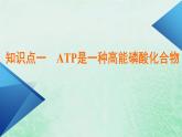 新教材适用2023_2024学年高中生物第5章细胞的能量供应和利用第2节细胞的能量“货币”ATP课件新人教版必修1