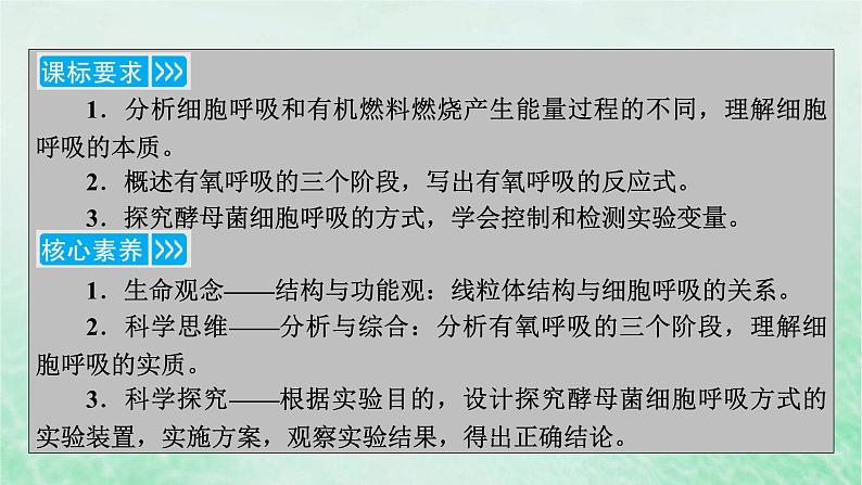 新教材适用2023_2024学年高中生物第5章细胞的能量供应和利用第3节细胞呼吸的原理和应用第1课时细胞呼吸的方式和有氧呼吸过程课件新人教版必修103