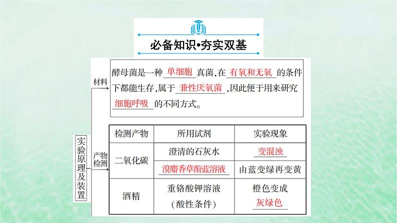 新教材适用2023_2024学年高中生物第5章细胞的能量供应和利用第3节细胞呼吸的原理和应用第1课时细胞呼吸的方式和有氧呼吸过程课件新人教版必修106