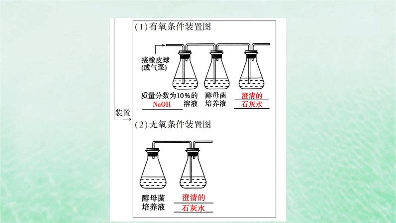 新教材适用2023_2024学年高中生物第5章细胞的能量供应和利用第3节细胞呼吸的原理和应用第1课时细胞呼吸的方式和有氧呼吸过程课件新人教版必修107