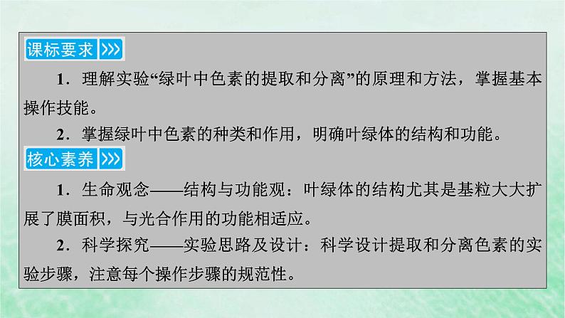 新教材适用2023_2024学年高中生物第5章细胞的能量供应和利用第4节光合作用与能量转化第1课时捕获光能的色素和结构课件新人教版必修103