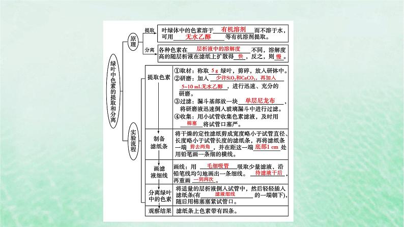 新教材适用2023_2024学年高中生物第5章细胞的能量供应和利用第4节光合作用与能量转化第1课时捕获光能的色素和结构课件新人教版必修107