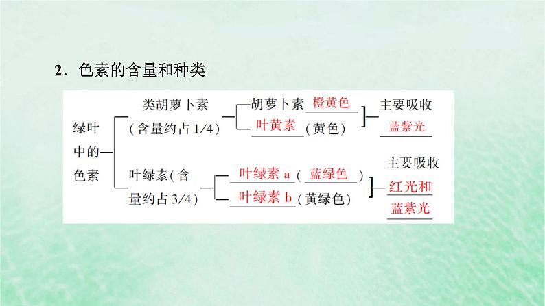 新教材适用2023_2024学年高中生物第5章细胞的能量供应和利用第4节光合作用与能量转化第1课时捕获光能的色素和结构课件新人教版必修108